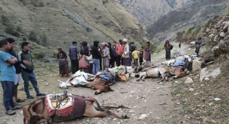 Electric poles and transformers in Chhayanath Rara Municipality, Mugu district, Nepal, showing damaged wires and low-capacity equipment.