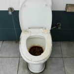 Public toilet inside Singha Durbar lacking proper maintenance.