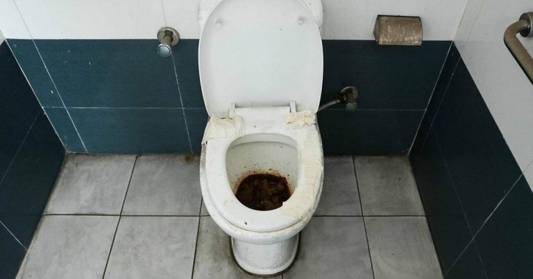 Singha Durbar Toilets Remain in Poor Condition