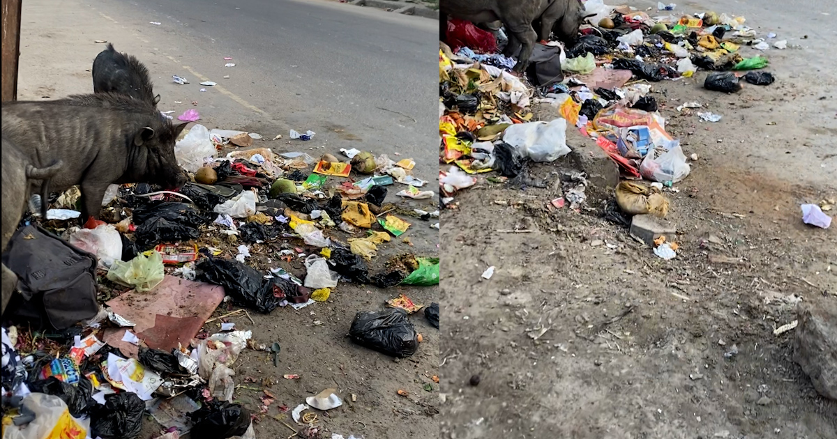 Waste piled up at Janakpurdham Chowk.
