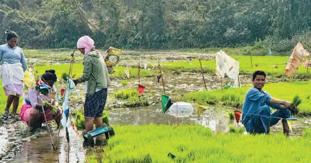 Santosh Rajbanshi: When Will Farmers Get Fertilizer?